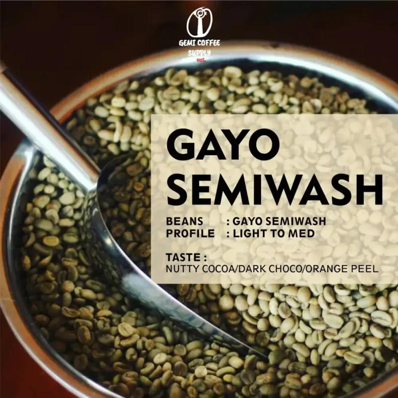 Close-up biji kopi Gayo yang sudah di-roasting Light to Medium,