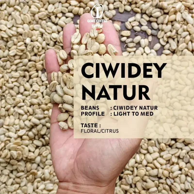Close-up biji kopi Ciwidey yang sudah di-roasting Light to Medium, menunjukkan kualitas Natural Process.
