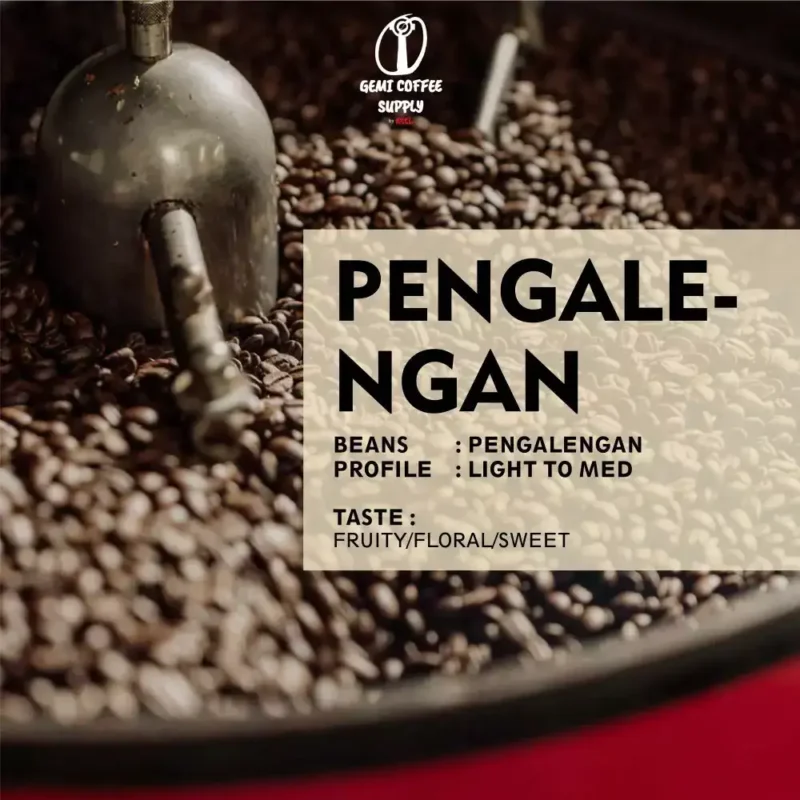 Close-up biji kopi Pengalengan yang sudah di-roasting Light to Medium,