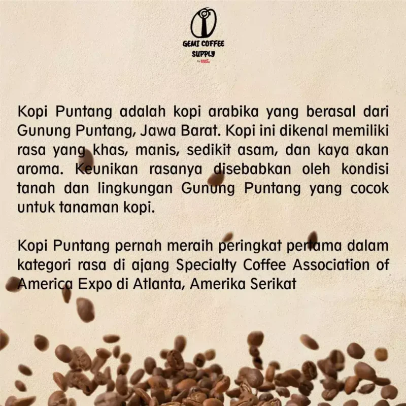 Petani di kaki Gunung Puntang, Jawa Barat, saat memanen buah kopi, sumber biji kopi Puntang kami.