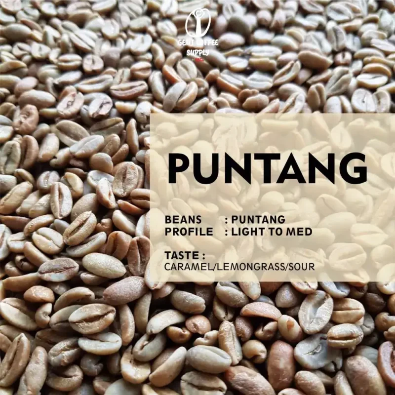 Close-up biji kopi Puntang yang sudah di-roasting Light to Medium, menunjukkan kualitas biji Arabika pilihan.