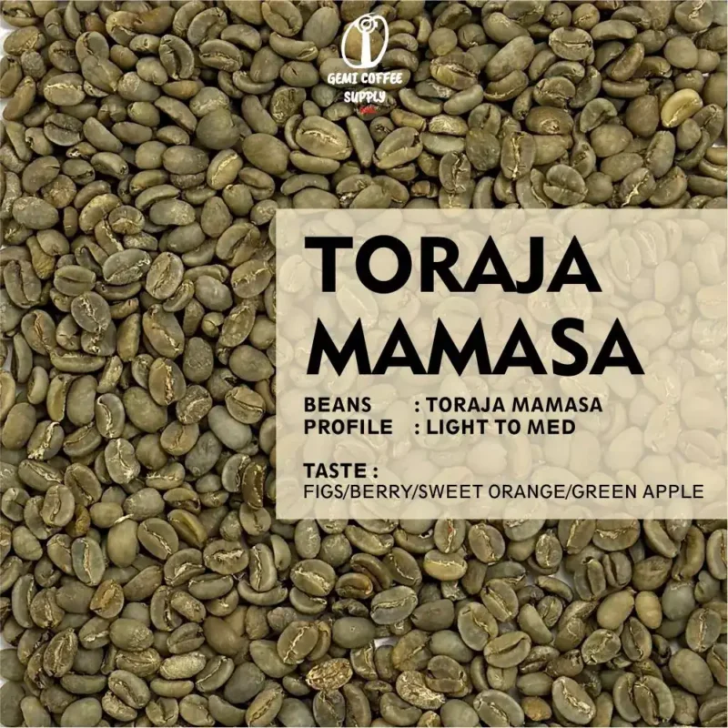 Close-up biji kopi Toraja Mamasa yang sudah di-roasting Light to Medium, menunjukkan kualitas biji premium.
