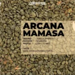 arcana mamasa (2)