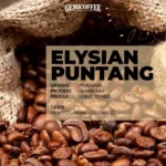 elysian puntang (2)